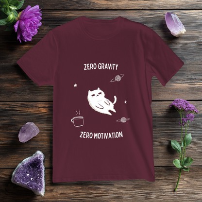 Zero Gravity, Zero Motivation